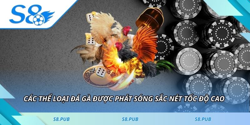Các thể loại đá gà được phát sóng sắc nét tốc độ cao 