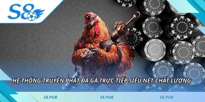 Hệ thống truyền phát đá gà trực tiếp siêu nét chất lượng 