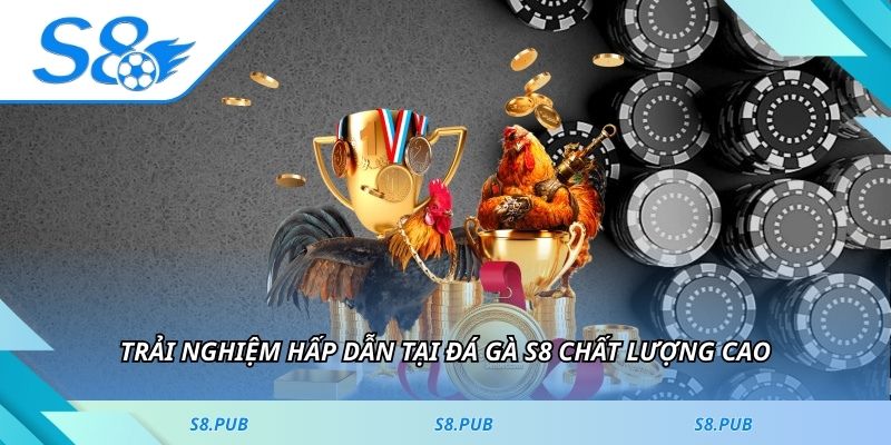 Trải nghiệm hấp dẫn tại đá gà S8 chất lượng cao