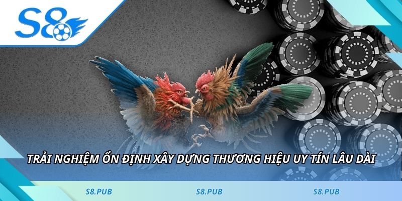 Trải nghiệm ổn định xây dựng thương hiệu uy tín lâu dài
