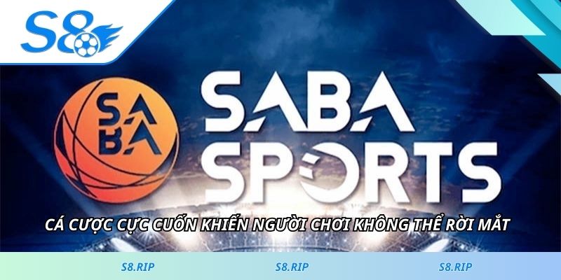 Cá cược cực cuốn khiến người chơi không thể rời mắt