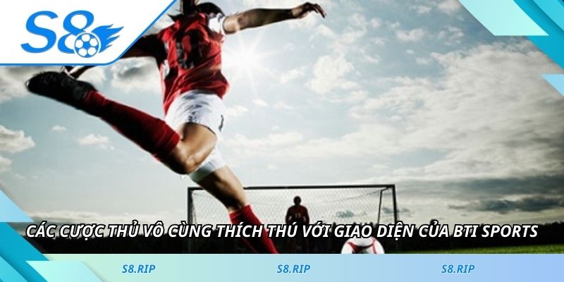 Các cược thủ vô cùng thích thú với giao diện của BTI Sports
