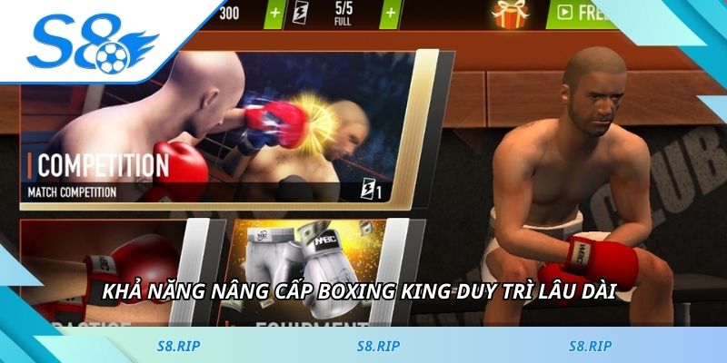 Khả năng nâng cấp Boxing King duy trì lâu dài