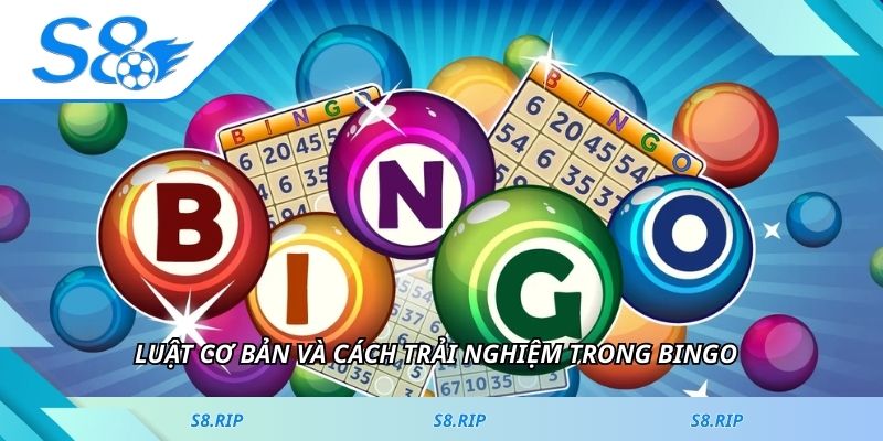Luật cơ bản và cách trải nghiệm