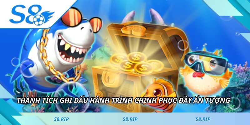 Thành tích ghi dấu hành trình chinh phục đầy ấn tượng